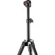 Manfrotto BeFree One Aluminum Tripod (Black)