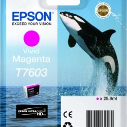 T7603 VIVID MAGENTA-P600