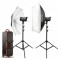 Godox DE-300 kit