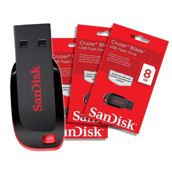 SanDisk 8GB Flash Memory 