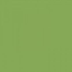 BD VERI GREEN Background Paper 2.72m X 11m
