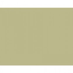 BD PISTACHIO BACKGROUND PAPER 2.72 X 11M