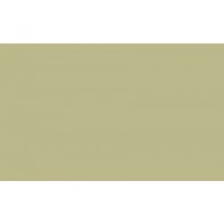 BD PISTACHIO BACKGROUND PAPER 2.72 X 11M