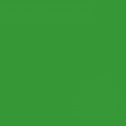 BD TECH GREEN  Background Paper 1.35m x 11m