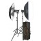 GODOX SK300 II HEADS STUDIO KIT + 2 Light Stand (SK300-KIT)