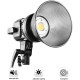 GVM LS-P80S1 Daylight LED Light Kit with Umbrella