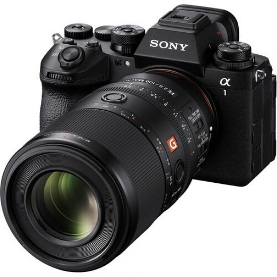 Sony FE 100mm f/2.8 Macro GM Lens (Sony E)
