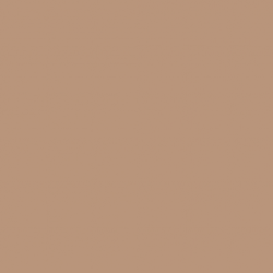 EMILY USA BACKDROP PAPER BEIGE 2.72X11MM 