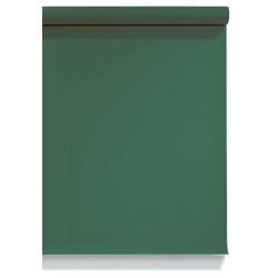 EMILY USA BACKDROP PAPER DEEP GREEN 2.72X11MM
