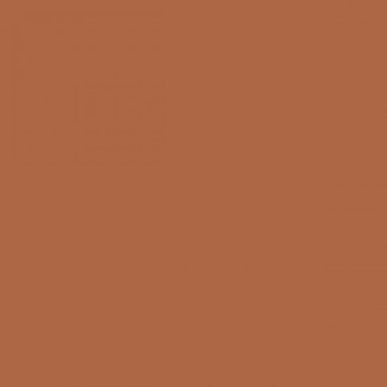 EMILY USA BACKDROP PAPER SPICE 48 2.72 *11M