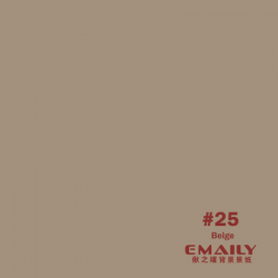 Emaily Beige #25 Background Paper 2.72X11MM 