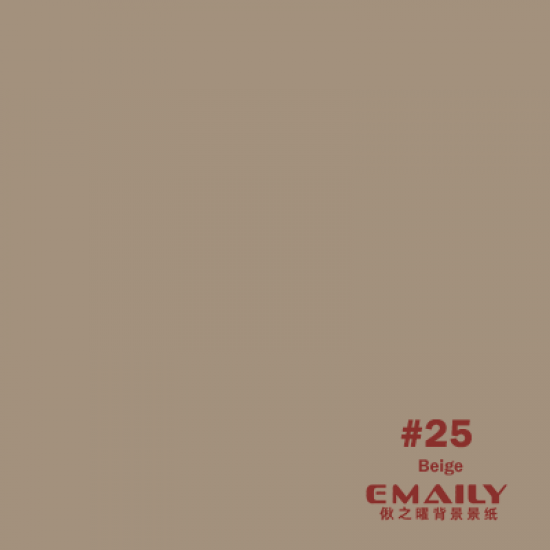 Emaily Beige #25 Background Paper 2.72X11MM 