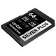Lexar SDXC 64GB Professional SILVER PLUS UHS-I V30 (Read 255MB/s and Write 135MB/s)